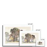 The Pine Trees of El Monte, California Framed & Mounted Print