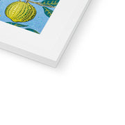 Four Fruits Framed & Mounted Print