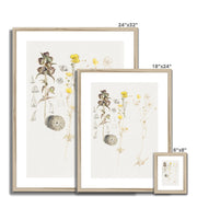 Buttercups, Mt. Desert Framed & Mounted Print