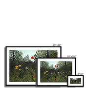 Virgin Forest with Sunset Framed & Mounted Print