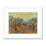 Olive Trees (1889) Framed & Mounted Print