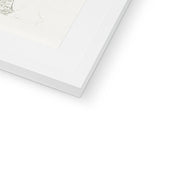 Cardinal Flower Framed & Mounted Print