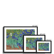 Irises Framed & Mounted Print