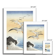 Five Seagulls Above Turbulent Sea Framed & Mounted Print