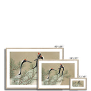 Cranes from Momoyogusa–Flowers of a Hundred Generations Framed & Mounted Print