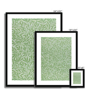Willow Framed & Mounted Print