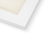 Hen Harrier male Framed & Mounted Print