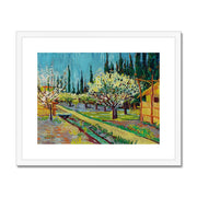Orchard Bordered by Cypresses Framed & Mounted Print