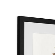 Buttercups, Mt. Desert Framed & Mounted Print