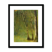 The Forest at Pontaubert Framed & Mounted Print
