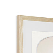 Two Parrots on a Barren Tree  Framed & Mounted Print