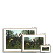 Virgin Forest with Sunset Framed & Mounted Print