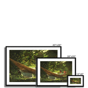 Sunlight and Shadow Framed & Mounted Print