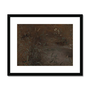 Rushes by a pool Framed & Mounted Print