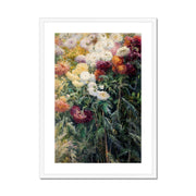 Chrysanthemums in the Garden at Petit–Gennevilliers Framed & Mounted Print