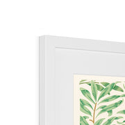 Willow Bough Framed & Mounted Print