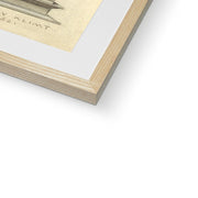 Youth Framed & Mounted Print