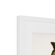 Eurasian eagle-owl Framed & Mounted Print