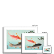 Common and Golden Carp Framed & Mounted Print