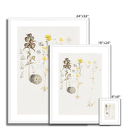 Buttercups, Mt. Desert Framed & Mounted Print