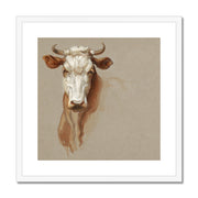Two Studies of Cattle Framed & Mounted Print