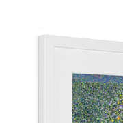 Rosebushes under the Trees Framed & Mounted Print