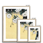 Japanese cherry blossoms Framed & Mounted Print
