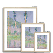 Poplars, Pink Effect Framed & Mounted Print