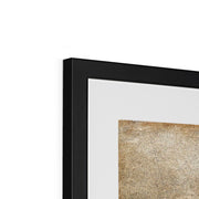 Chrysanthemum Framed & Mounted Print