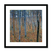 Beech Grove I Framed & Mounted Print