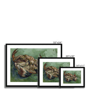 Crab on its Back Framed & Mounted Print