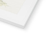 Studies of Meadow Flowers Framed & Mounted Print