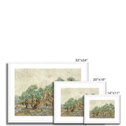 The Olive Orchard (1889) Framed & Mounted Print