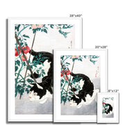 Cat with Tomato Plant Framed & Mounted Print