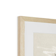 Oak and Evergreen Framed & Mounted Print