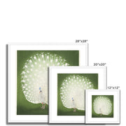 Peacock Framed & Mounted Print