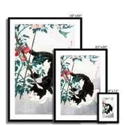 Cat with Tomato Plant Framed & Mounted Print