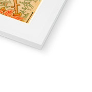 Pink and Rose Framed & Mounted Print