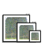 Pear Tree Framed & Mounted Print
