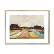 Flower Beds in Holland  Framed & Mounted Print