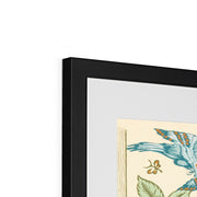 Trellis Framed & Mounted Print