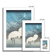 Egrets and Reeds in Moonlight Framed & Mounted Print