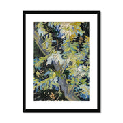 Blossoming Acacia Branches Framed & Mounted Print