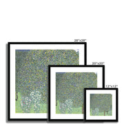 Rosebushes under the Trees Framed & Mounted Print