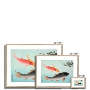 Common and Golden Carp Framed & Mounted Print
