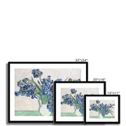 Irises (1890) Framed & Mounted Print