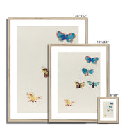 Five Butterflies Framed & Mounted Print