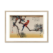 Ukiyo-e illustration, Macaw on Pine Branch Framed & Mounted Print