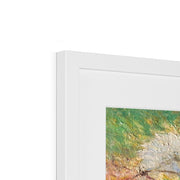 Chrysanthemums in the Garden at Petit–Gennevilliers Framed & Mounted Print