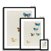 Five Butterflies Framed & Mounted Print